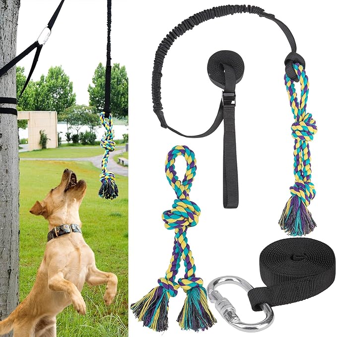 BINGPET Outdoor Dog Hanging Bungee Tug Toy,Heavy Duty Tether Tug of War Dog Toy with 2 Chew Rope Toys for Pitbull Small Medium Large Dogs Interactive Exercise and Fun Solo Play Outside