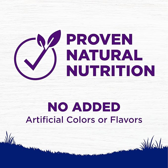 Wellness Natural Pet Food Complete Health Natural Dry Large Breed Puppy Food, Chicken, Salmon & Rice, 30-Pound Bag