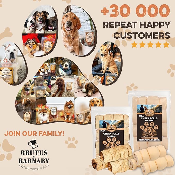 Premium Beef Cheek Rolls for Dogs 10-12" - (10-Pack) Long Lasting, Safe & Natural Rawhide Alternative Chews, Ideal for Large Dogs & Aggressive Chewers, Supports Dental Health & Digestion