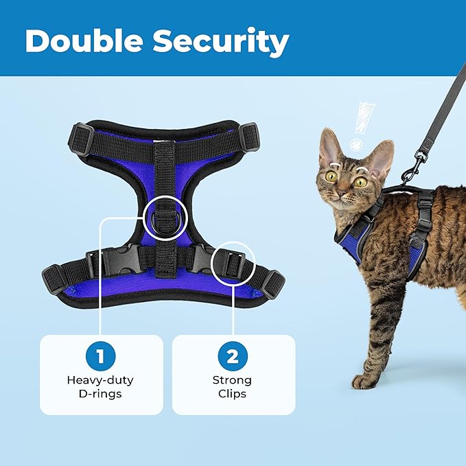Voyager Escape Proof Cat Harness and Leash Set with Reflective Stitching, Neoprene Handle 5ft - Supports Small, Medium and Large Cats, Kittens for Walking by Best Pet Supplies - BT-Royal Blue, XXS