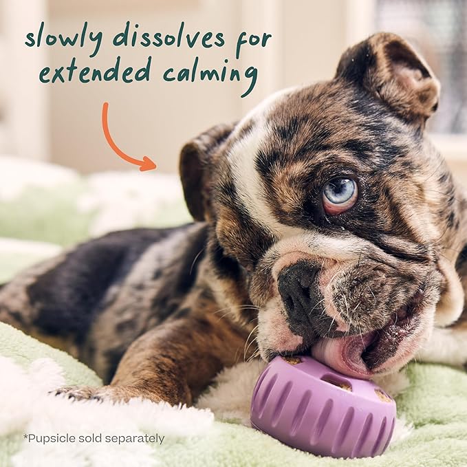 WOOF Pupsicle Refill Pops for Calming - Long-Lasting Refills for The Pupsicle Toy to Promote Calm - Calming Dog Treats - Magnesium for Dogs- XL Pops - 5 Count - 2 Pack