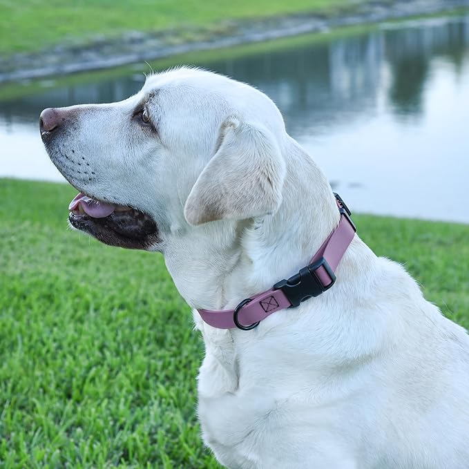 Dogline Biothane Waterproof Dog Collar with Quick Release Buckle Strong Coated Nylon Webbing with Odor- Proof for Easy Care Easy to Clean Fits Small Medium Large Dogs, Amethyst Purple 5/8" W 9-14" L
