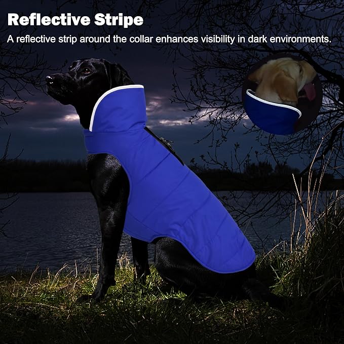 Dog Winter Coat, Waterproof Dog Jacket with Leash Hole, Reflective Adjustable Pet Snow Vest, Warm Fleece Sweater for Small Medium Large Dogs - Blue, 2XL