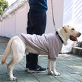 Extra Large Dog Collar Jackets Clothes Sweaters with Leash Ring for Labrador Rottweiler Great Dane, Grey, 4X-Large