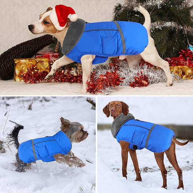 Dogcheer Warm Dog Coat, Waterproof Dog Jacket Christmas Puppy Winter Coat with Buckle, Reflective Adjustable Pet Snow Jacket Turtleneck Fleece Sweater for Small Medium Large Dogs - Blue, S
