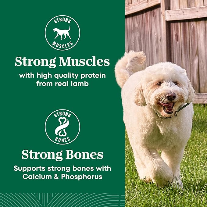 Nutro Natural Choice Lamb & Brown Rice Adult Dry Dog Food Recipe, 30 lb. Bag