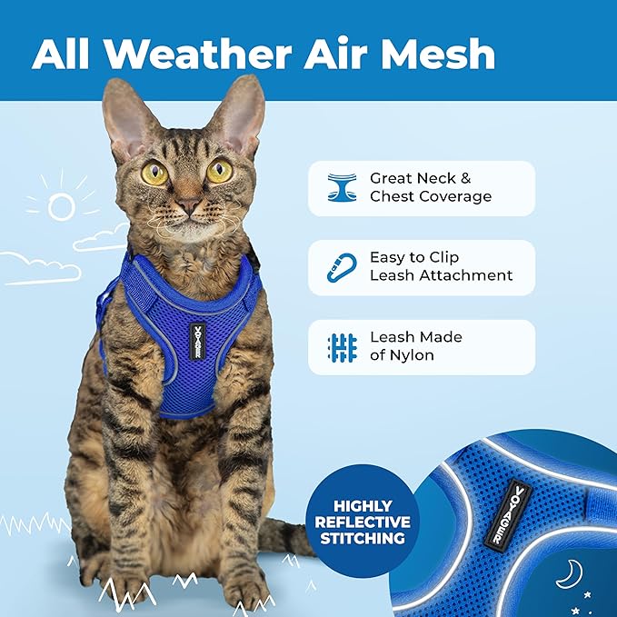 Voyager Escape Proof Cat Harness and Leash Set with Reflective Stitching, Neoprene Handle 5ft - Supports Small, Medium and Large Cats, Kittens for Walking by Best Pet Supplies - Royal Blue, XXS