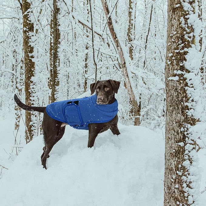 Queenmore Small Dog Sweater, Soft Fleece Vest Pullover Dog Jacket with Leash Hole, Warm Winter Dog Coats Cold Weather Doggy Dachshund Sweaters for Small Dogs Cats Boy or Girl (Blue, XL)