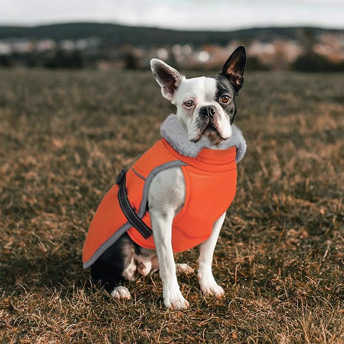 Lelepet Warm Dog Winter Coat Reflective Dog Jacket Fleece Vest Waterproof Windproof Cold Weather Coats with Adjustable Buckle Turtleneck Pet Snowsuit for Small Medium Large Dogs,Boxer,Pitbull,XXL