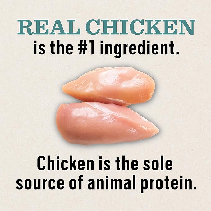 Dr. Pol Limited Ingredient Chicken Dog Food - Natural Healthy Balance Kibble, Single Meat Source, Vet Formulated for Allergies and Sensitive Stomachs, Made in USA, Chicken 4lb Bag