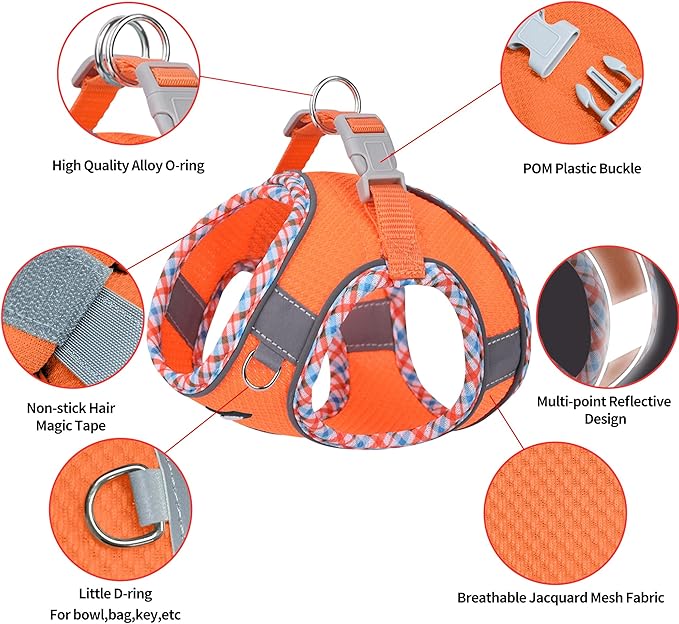 AIITLE Dog Harness and Leash Set - Ultra-Comfortable XXS-XL Vest with Strong Magic Tape & Glow-in-Dark Reflective Strips, Chafe-Free for Teddy, Schnauzer (Orange, M)