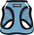 Best Pet Supplies Voyager Step-in Air Harness - All Weather Mesh, Reflective, No Pull Harness for Dogs, Cats - Secure with Hook & Loop Fastener, Buckle, Double D-Rings - Baby Blue/Black Trim, XL