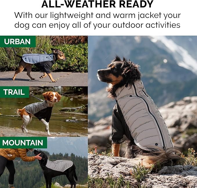 Furhaven Water-Repellent Small Dog Coat, Washable & Reflective w/ Leash Access & Stretch Fabric - Pro-Fit Active Jacket - Chrome, Small