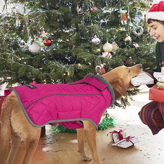 Fragralley Dog Coat Large, Waterproof Dog Jacket with Warm Fleece Lining, Adjustable Reflective Dogs Winter Coat, Turtleneck Pet Coats for Cold Weather (Rose Pink XL)