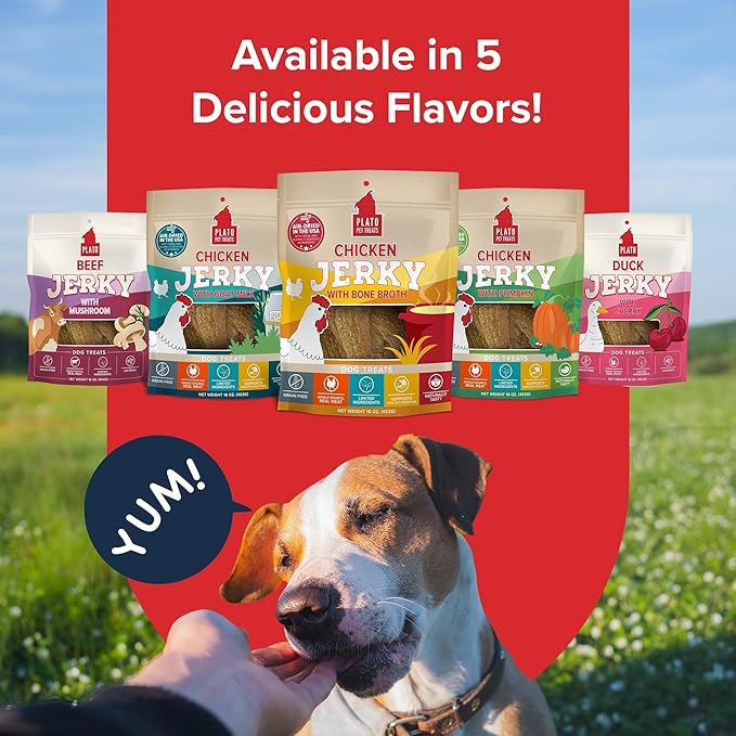 PLATO Pet Treats Jerky Dog Treats - Air-Dried Jerky for Dogs - Delicious, Real Meat Dog Treats - Grain Free - Supports Healthy Digestion - Chicken Jerky with Bone Broth 7oz
