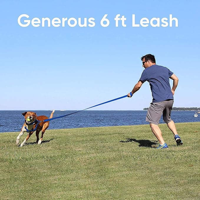 Pawtitas 6 FT Recycled Dog Leash with Reflective Stitched Thread - Purple 6 ft Leash Made from Plastic Bottles Collected from Oceans