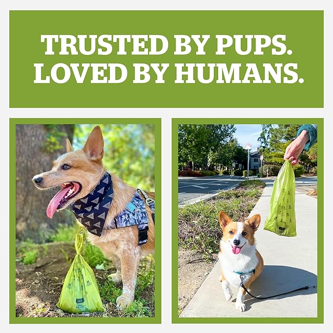 Pogi’s Dog Poop Bags – Leak-Proof & Extra Thick Pet Waste Bags (Unscented, 30 Rolls, 450-Count)