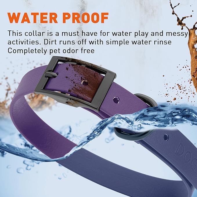 Dogline Biothane Waterproof Dog Collar Strong Coated Nylon Webbing with Black Hardware Odor- Proof for Easy Care Easy to Clean High Performance Fits Small Medium or Large Dogs, Violet Purple