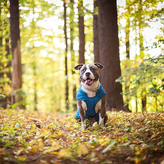 Kurgo Loft Dog Jacket - Reversible Cozy Coat for Outdoor Adventures - Water Resistant - Athletic Fit - Machine Washable Fabric - Reflective Dog Gear - Small - Coastal Blue