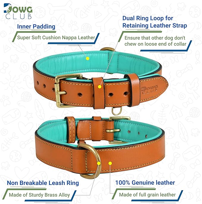 Leather Dog Collar for Medium Dogs, Tan, 1 Inch Wide, Genuine Full Grain Leather, Heavy Duty with Soft Inner Padding, Comfortable and Durable (Medium (Fit Neck Size 14.5"-18.5"), Tan)