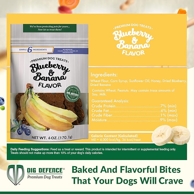 Dig Defence Premium Dog Treats - Blueberry and Banana, Natural Ingredients, Baked Gourmet Snacks for Small & Big Dogs, Healthy Training Treat, 2 Pack