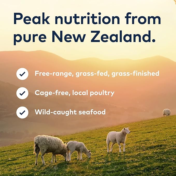 ZIWI Peak Wet Cat Food – All Natural, High Protein, Grain Free, Limited Ingredient, with Superfoods (Mackerel & Lamb, Case of 6, 3oz Cans)