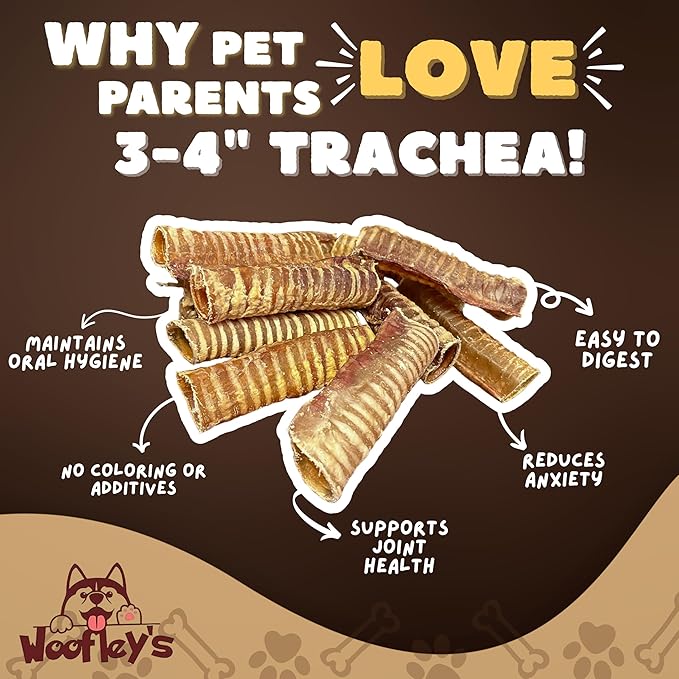Woofley's Beef Trachea - 3-4 Inch - 50 Pack - Trachea Treats for Dogs - Natural Source of Glucosamine and Chondrotin for Joint Health - 100% Natural Beef Windpipe for Dogs