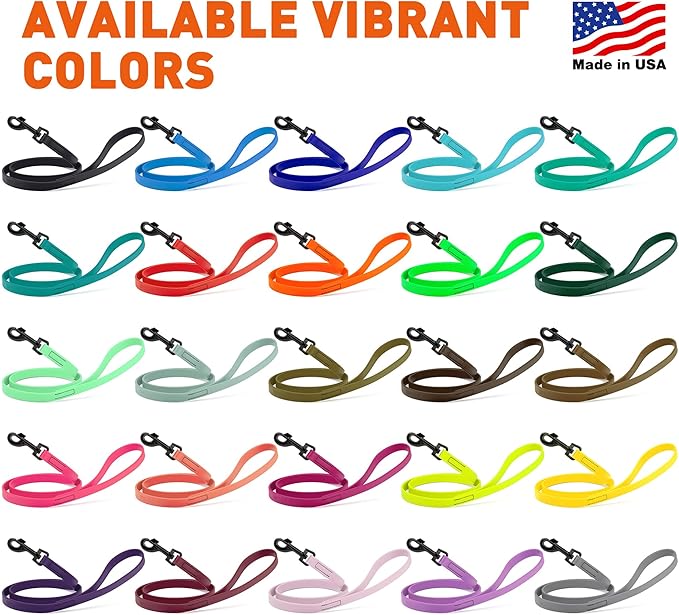 Dogline Biothane Waterproof Dog Leash Strong Coated Nylon Webbing with Black Hardware Odor-Proof Easy to Clean High Performance for Small or Large Dogs Made in USA 4 or 6 ft Lead, Amethyst Purple
