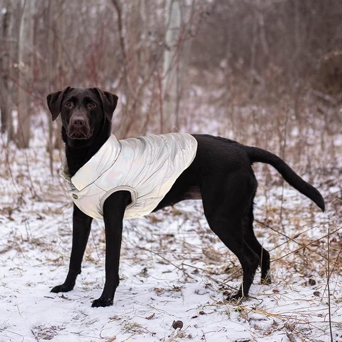 ASENKU Dog Winter Coat - Waterproof Windproof Dog Jacket, Warm Snowproof Doggie Puffer Vest for Cold Weather, Lightweight Snow Coats for Small Medium Large Dogs (Silver, XL)
