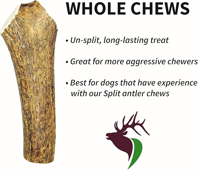 Small Whole 5 Pack (for 10-30 lb Dogs and Puppies) Premium Grade Elk Antlers for Dogs (5 Pieces) Sourced in The USA