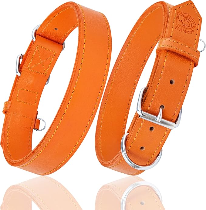 Riparo Dog Collar - Genuine Leather Dog Collars - Adjustable Dog Collars - Heavy Duty Hardware for Medium Large and Extra Large Dog Breeds (XXL, Orange)