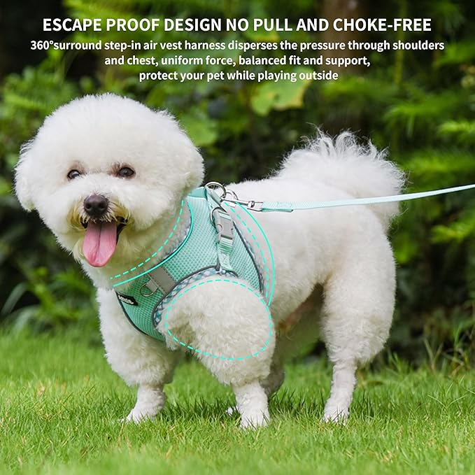 AIITLE Small Dog Harness - Breathable Double-Layer Jacquard No-Choke Vest, Durable Anti-Tear Fabric with Reflective Trim - Perfect for Running, Parties, Daily Walks (Turquoise, XS)