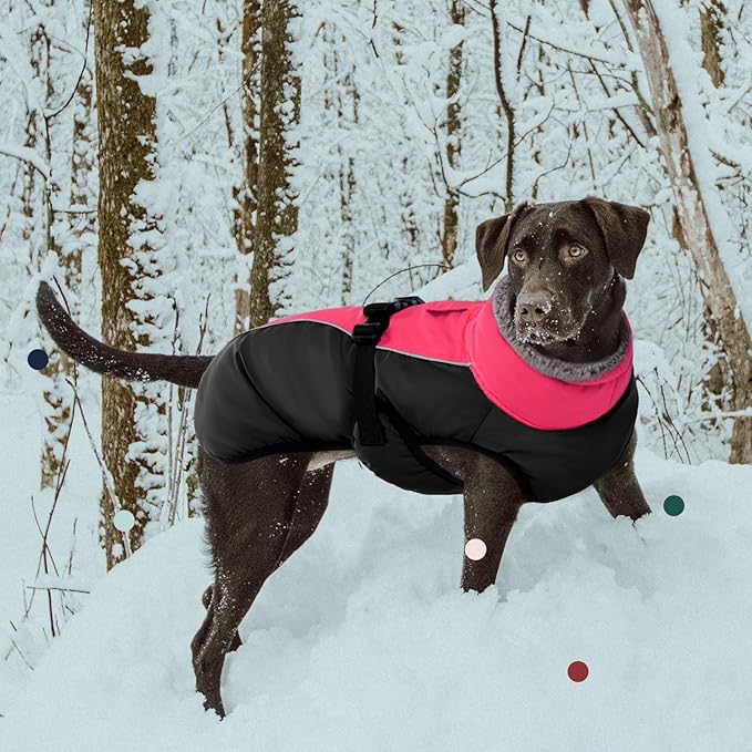 IECOii Extra Warm Dog Coat - Reflective Jacket with Buckle & Fleece Turtleneck for Cold Weather, Soft Winter Coat for Small to Extra Large Dogs