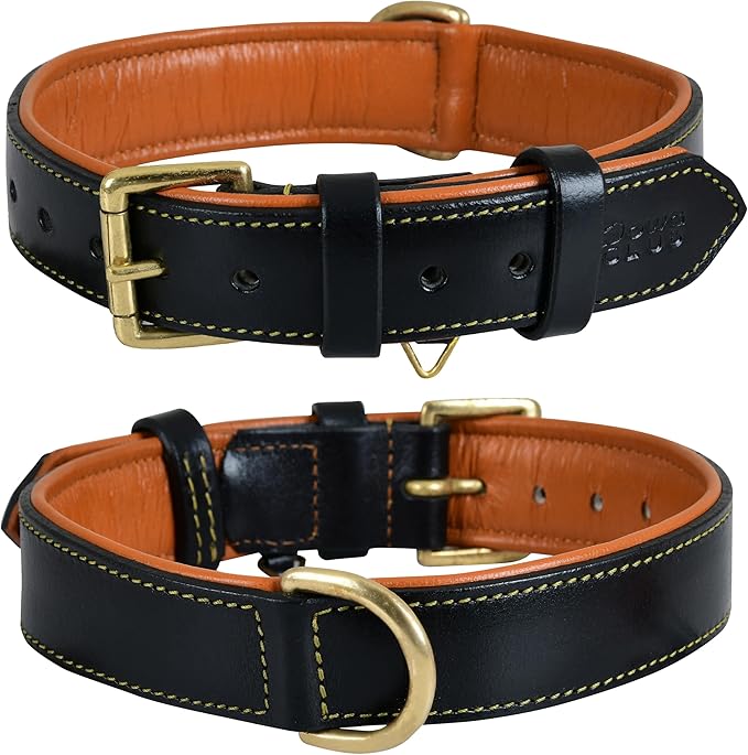 Leather Dog Collar | Leather Collar for Small Dogs, .75 Inch Wide Dog Collar Black | Genuine, Full Grain, Heavy Duty, Comfortable, Inner Padding (Small (Fit Neck Size 11.5"-14.5"), Black)