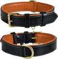 Leather Dog Collar | Leather Collar for Small Dogs, .75 Inch Wide Dog Collar Black | Genuine, Full Grain, Heavy Duty, Comfortable, Inner Padding (Small (Fit Neck Size 11.5"-14.5"), Black)