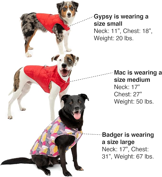 Kurgo Loft Dog Jacket - Reversible Cozy Coat for Outdoor Adventures - Water Resistant - Athletic Fit - Machine Washable Fabric - Reflective Dog Gear - Medium - Fall Festival