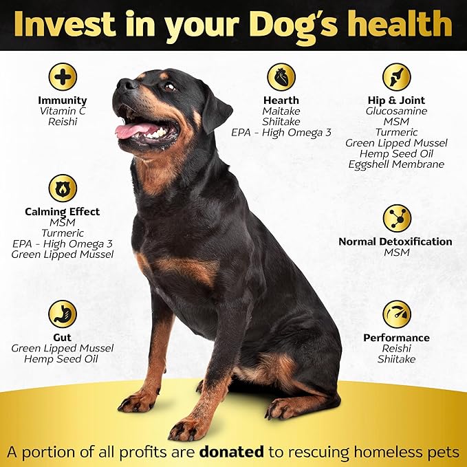 Soft Chews Hip and Joint Supplement for Dogs - Dog Joint Pain Relief Treats - Glucosamine, Chondroitin, Turmeric- Mobility Bites Supplement