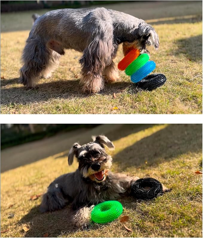 ADUCK Dog Squeaky Chew Toys for Aggressive Chewers, Small Medium Large Dogs Teeth Cleaning Soft Natural Rubber Float Toy for Indoor Outdoor Water Pool, Donut Ring Design 4.92 inch, Crystal Green