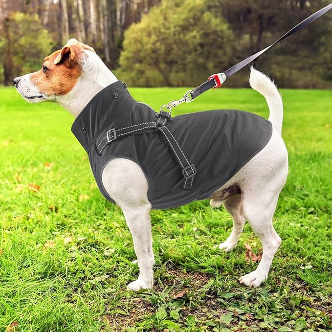 Mosucoirl Dog Raincoat Waterproof Dog Hoodie Reflective Dog Raincoat Hooded Adjustable Rain Jacket for Small Medium Large Dogs Puppies (Black, S)