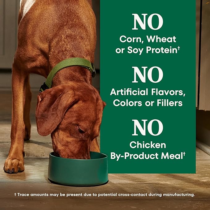 Nutro Natural Choice Salmon & Brown Rice Adult Dry Dog Food Recipe, 28 lb. Bag