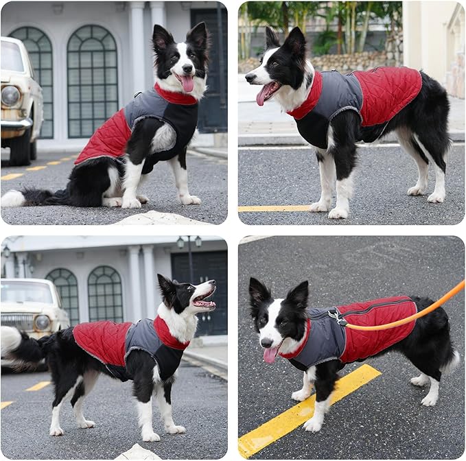 Warm Fleece Dog Coats for Small Dogs,D-Rings Waterproof Puppy Jacket for Cold Winter,Red XS
