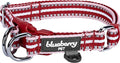 Blueberry Pet Safety Dog Collar with Dual D-Rings | 3M Reflective Multi-Colored Adjustable Collar in Marsala Red and Pink | Soft Nylon Dog Collar for Active Large Dogs