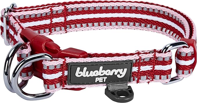 Blueberry Pet Safety Dog Collar with Dual D-Rings | 3M Reflective Multi-Colored Adjustable Collar in Marsala Red and Pink | Soft Nylon Dog Collar for Active Large Dogs