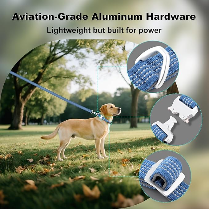 Plutus Pet Reflective Dog Collar with Aviation Aluminum Buckle, Neoprene Padded for Comfort, Lightweight, Heavy Duty Nylon Collar for Puppy Small Medium Large Dogs (Blue, L)