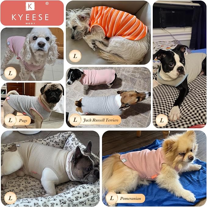 KYEESE 2Pack Waffle Dog Shirts for Small Dogs Stretchy T-Shirts Lightweight Tank Top Sleeveless Striped Shirt Vest Breathable Cat Shirt, Large, Orange+Striped