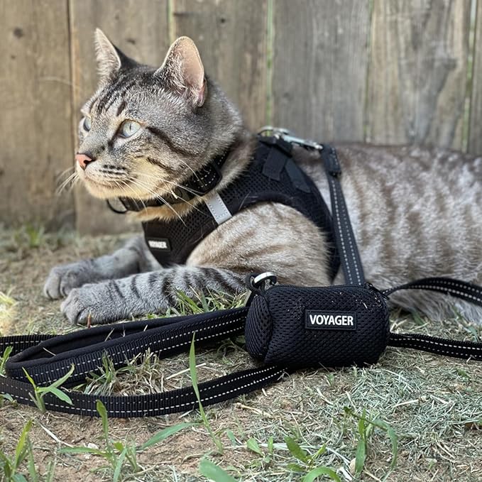 Voyager Step-In Air Dog Harness by Best Pet Supplies - All Weather Mesh Step in Vest Harness for Small and Medium Dogs, Black, size XL - Chest: 20.5 - 23"