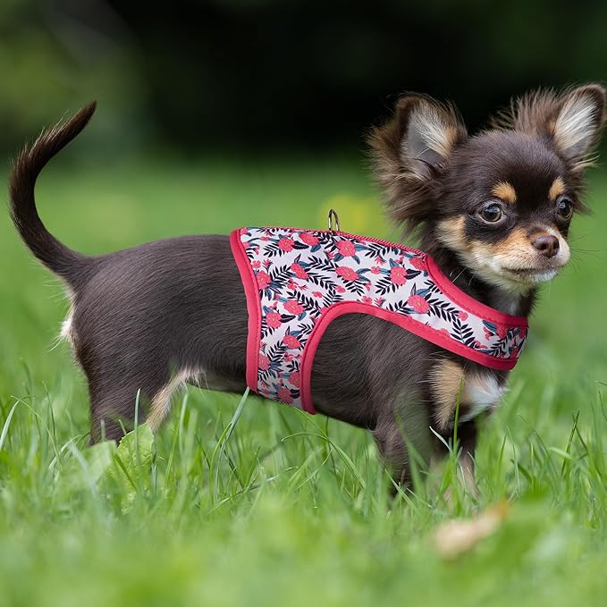 Mile High Life Dog Harness, Air Mesh Floral Vest Harness for 20 lbs Small Dogs & Cats, Easy Get on Adjustable Easy Closures Both Neck and Chest(Peony, XS Chest 14"-16")