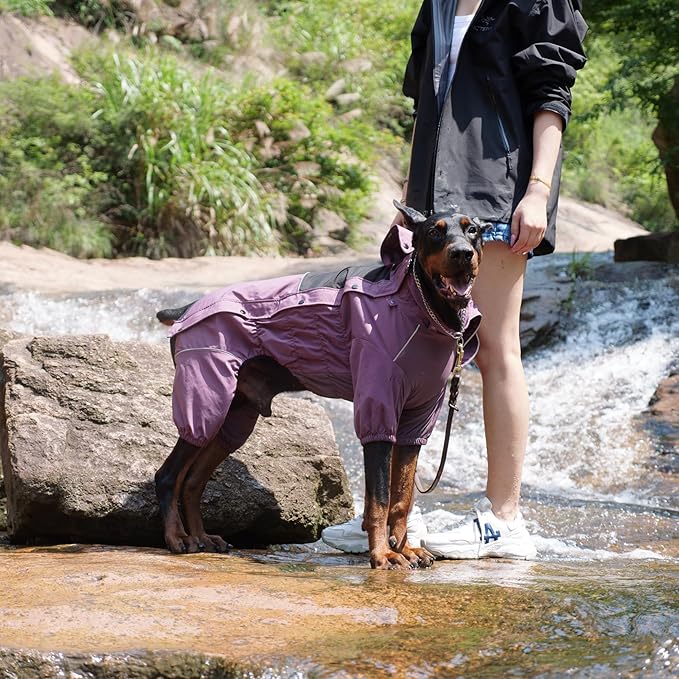 LOVELONGLONG Waterproof Dog Raincoat with Removable Hood – Outdoor Full Body Dog Jacket, Windproof Snowproof Shell Suit – All Season Pet Rain Gear Plum Purple S