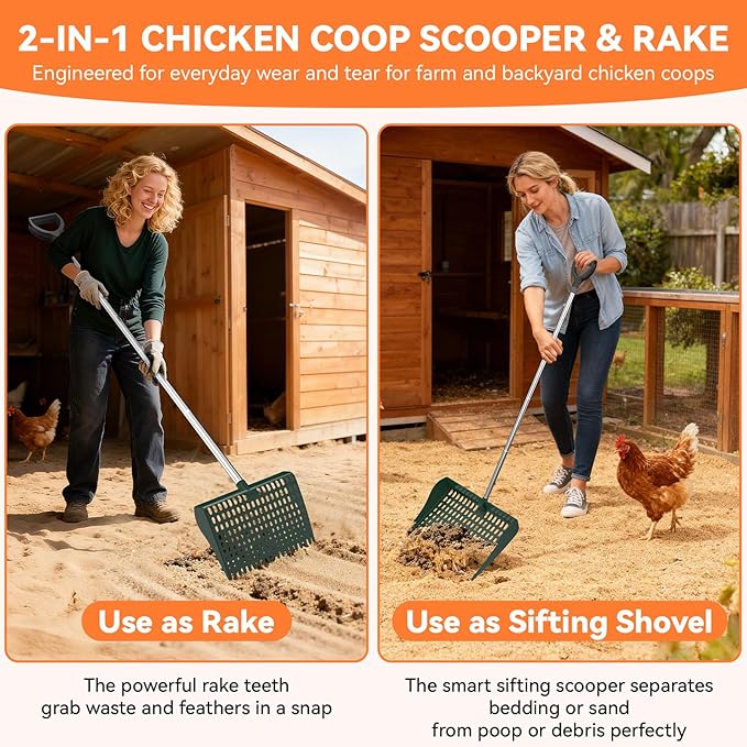 Chicken Poop Scooper & Rake 2-in-1, Pooper Scooper with 13in Wider PP Head & Adjustable Stainless Steel Handle, 33''-69'' Sand Sifting Shovel Litter Scooper for Chicken Coop/Small Farm Animals