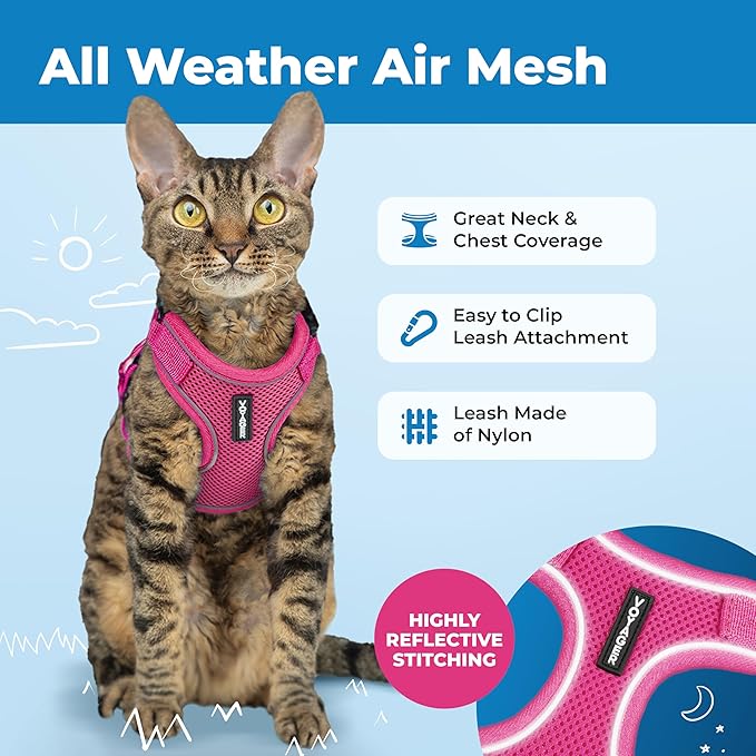 Voyager Escape Proof Cat Harness and Leash Set with Reflective Stitching, Neoprene Handle 5ft - Supports Small, Medium and Large Cats, Kittens for Walking by Best Pet Supplies - Fuchsia, XS